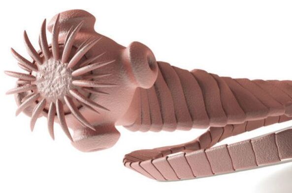 parazit din corpul uman